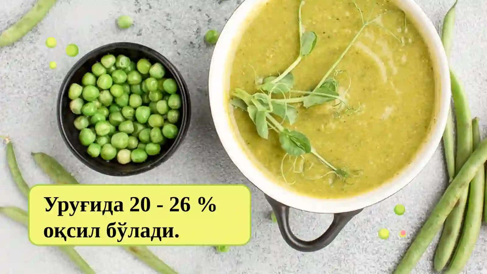 Ko‘k no‘xat biologiyasi va yetishtirish texnologiyasi 4