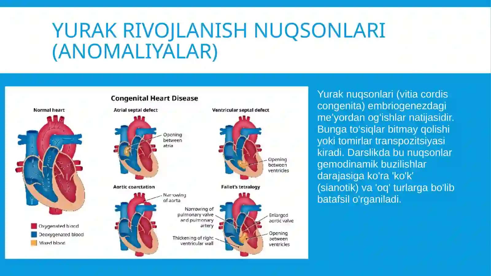 Anatomiya fanidan mustaqil ish/yurAK 4