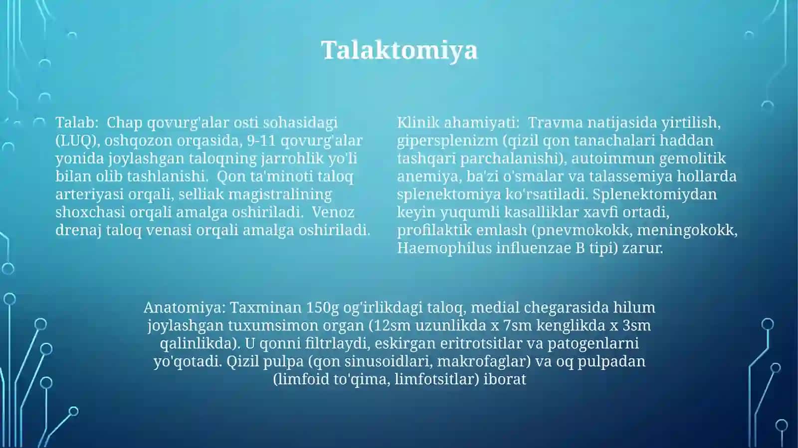 Taloq anatomiyasi va gistologiyasi 4