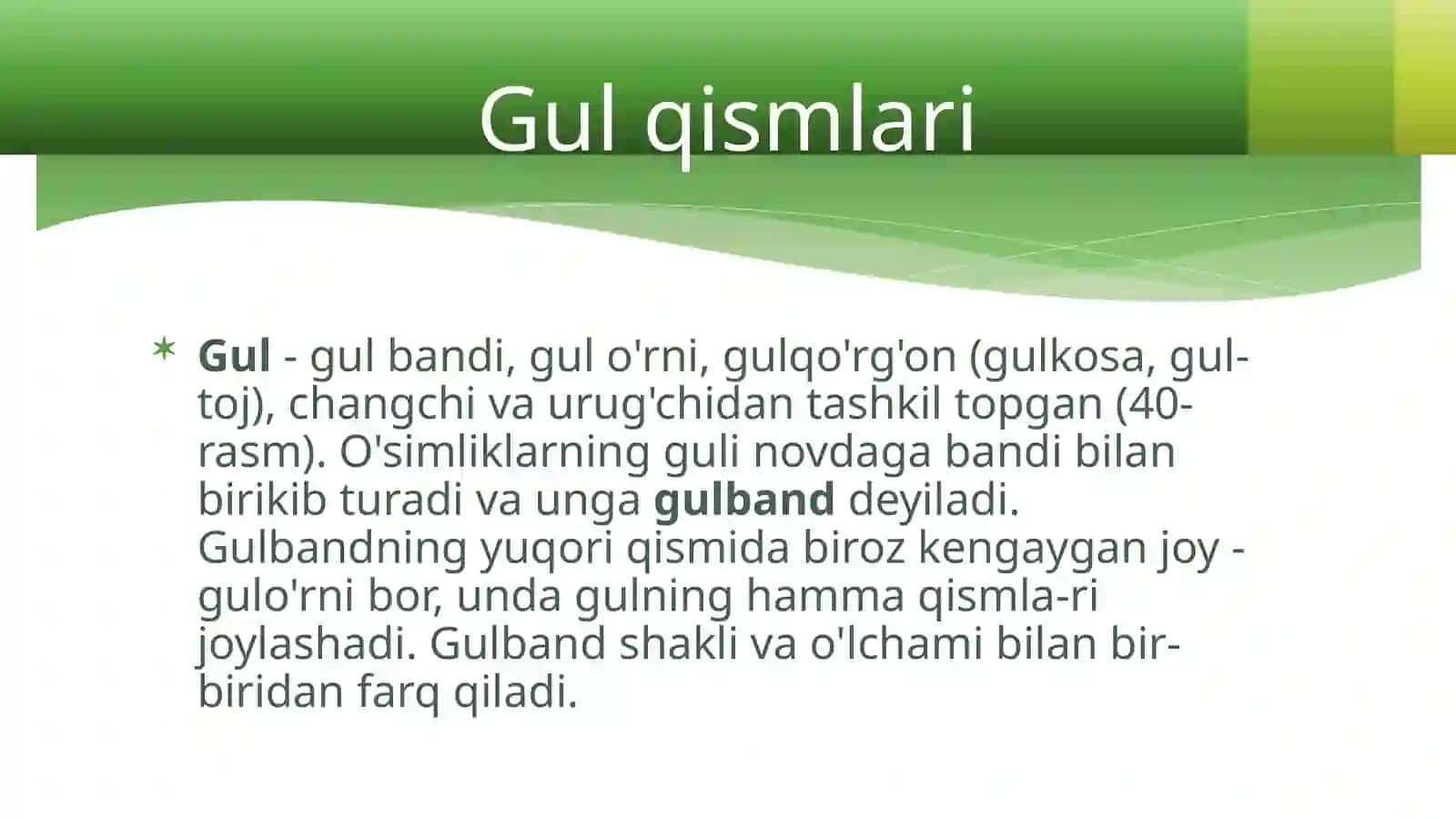 GUL-O'SIMLIKLARNING GENERATIV KO'PAYISH ORGANI 4