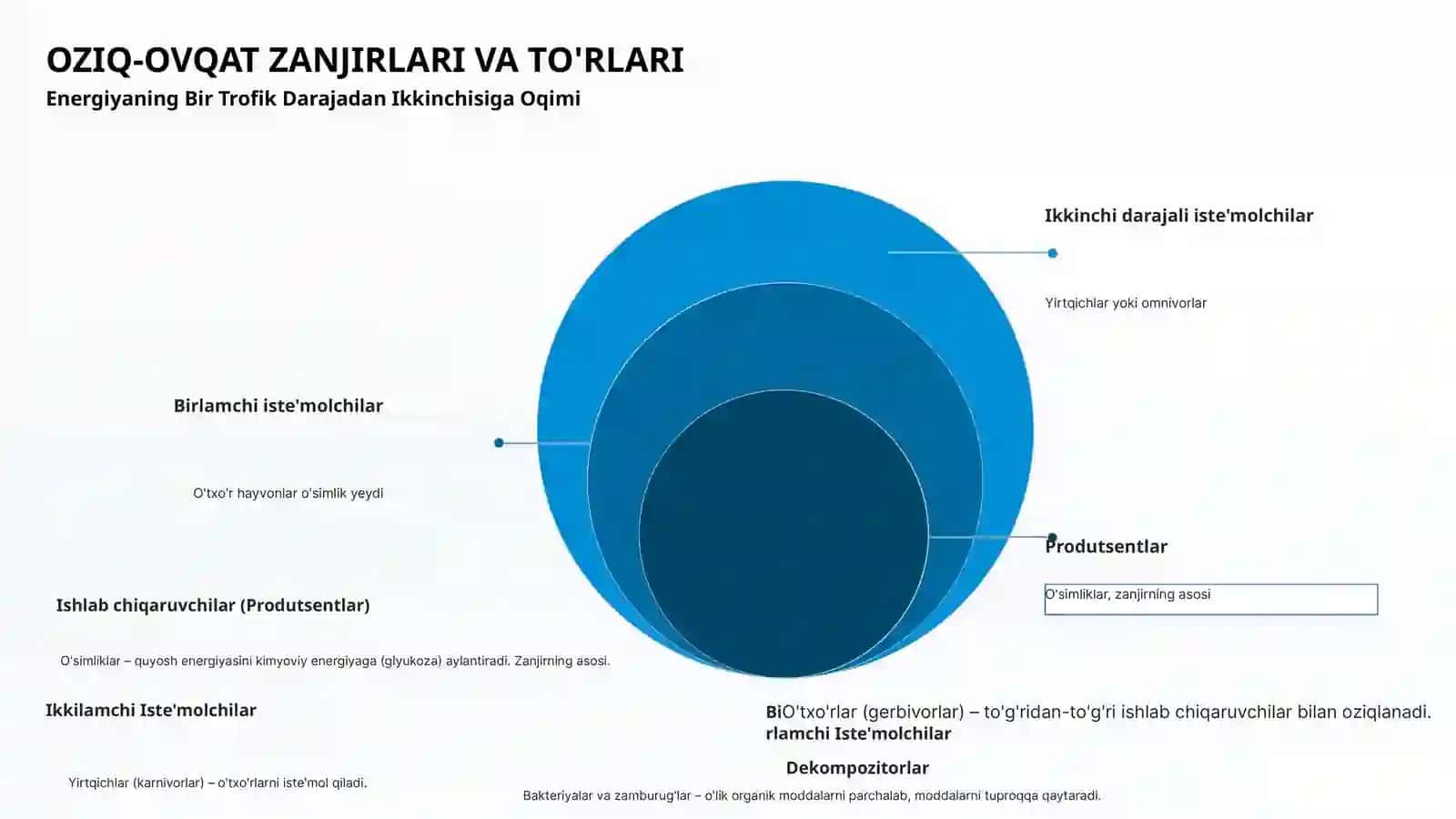 BIOSFERADA ENERGIYA VA MODDALARNING AYLANMA HARAKATI 4