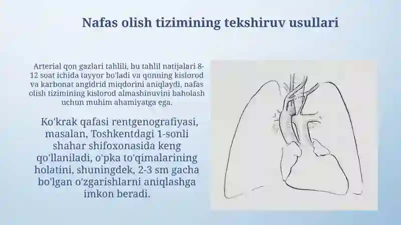 Nafas olish tizimining funksiyalari 4