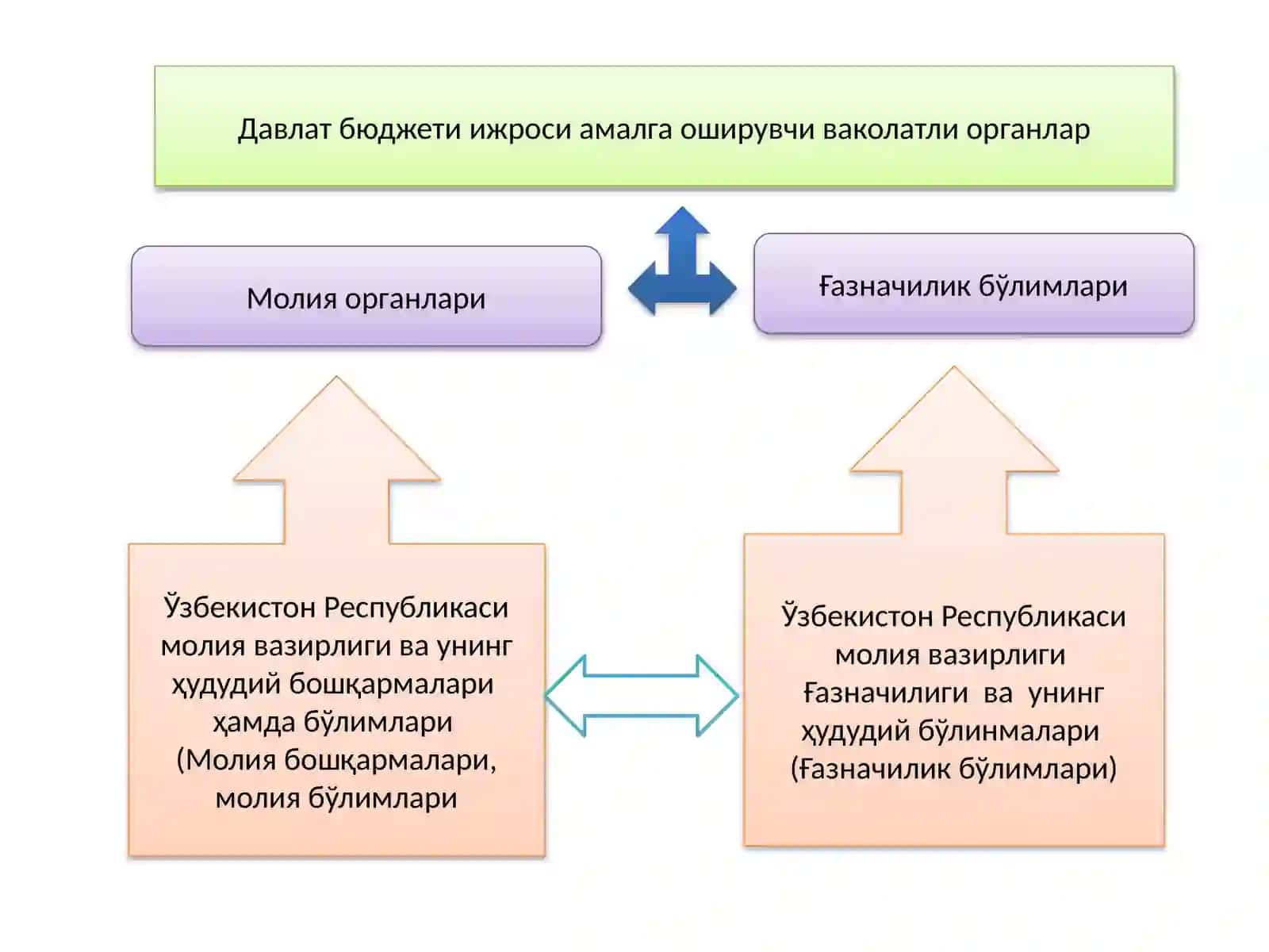 Молия органлари ва унинг ҳудудий бўлинмаларида бухгалтерия ҳисобини ташкил асослари 4