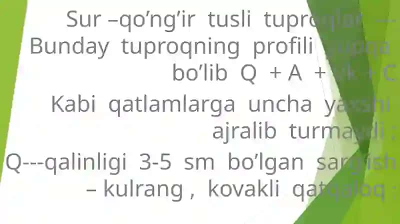 Sur-qo’ng’ir tuproqlar 4