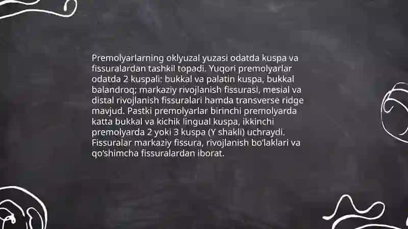 Doimiy tishlarda chaynov tishlarining tuzilishi 4