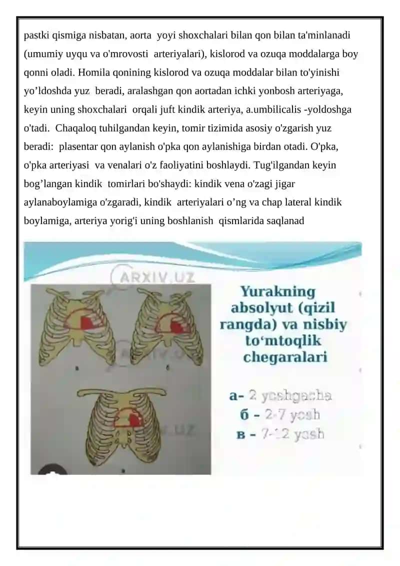 Yurak Qon Tomir Tizimi 4
