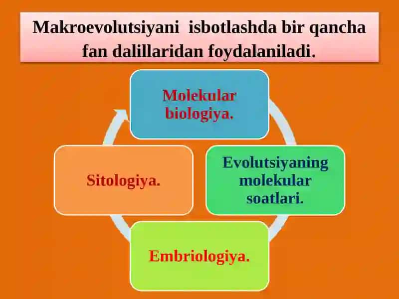 EVOLUTSIYANI ISBOTLASHDA MOLEKULARBIOLOGIYA, SITOLOGIYA, EMBRIOLOGIYAFANLARIDALILLARI 4