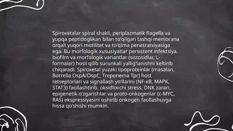 Patogen spiroxetalar va onkogenlar 4