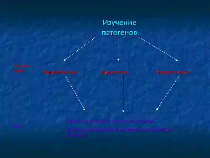 Иммунопрофилактика:современные проблемы и перспективы 4