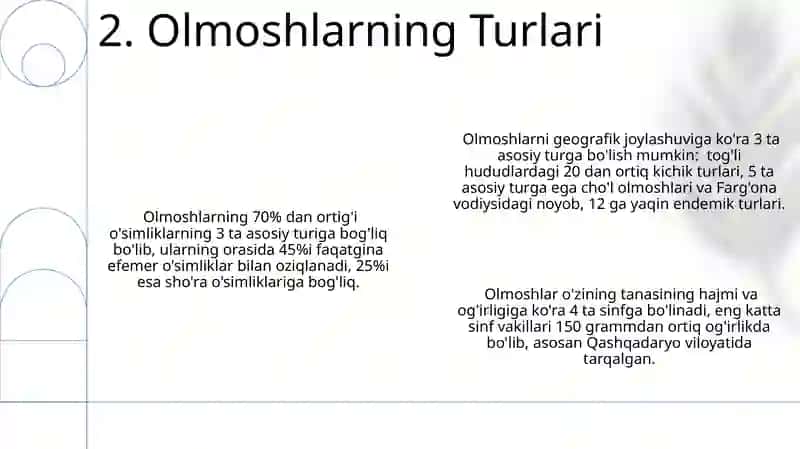 Olmoshlarning umumiy va xususiy belgilari 4