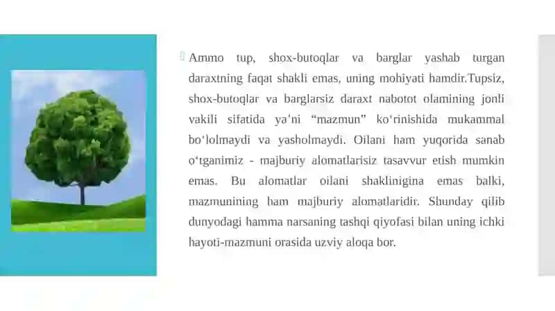Badiiy asarda shakl va mazmun uyg‘unligi 4