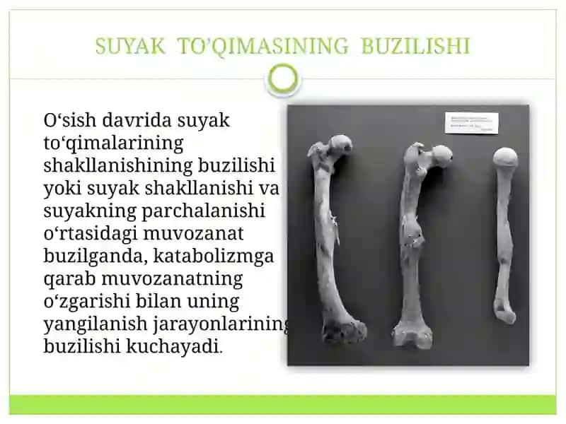 Suyak to’qimalarining minerallashuvi,uning tartibga solinishi va buzilishlari. Suyak to’qimalarining 4