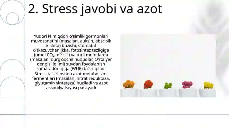 Azotning oʻsimliklardagi modda almashinuviga ta'siri 4
