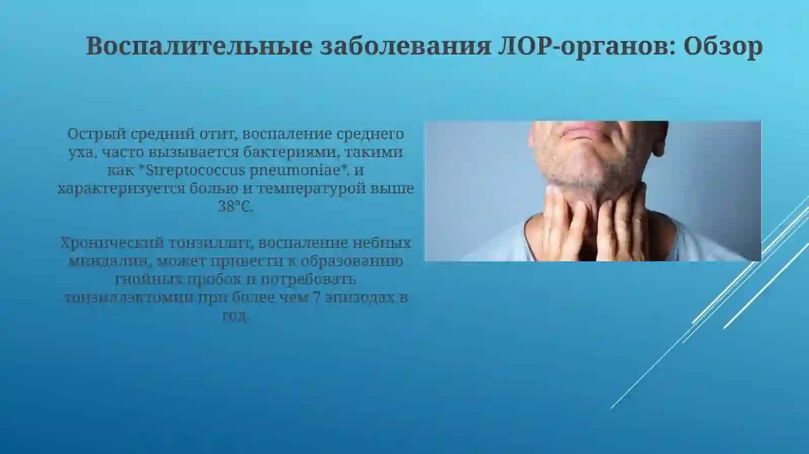 Патология головы и шеи: воспалительные и опухолевые процессы 4