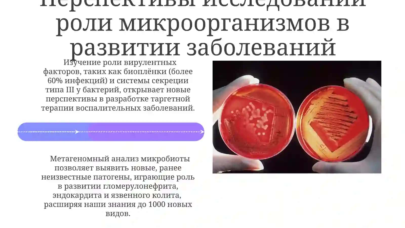Значение микроорганизмов в происхождении гломерулонефрита, эндокардита, язвенного колита 4