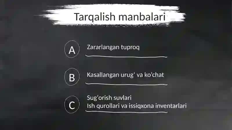 Pomidorning fuzarioz kasalligi 4