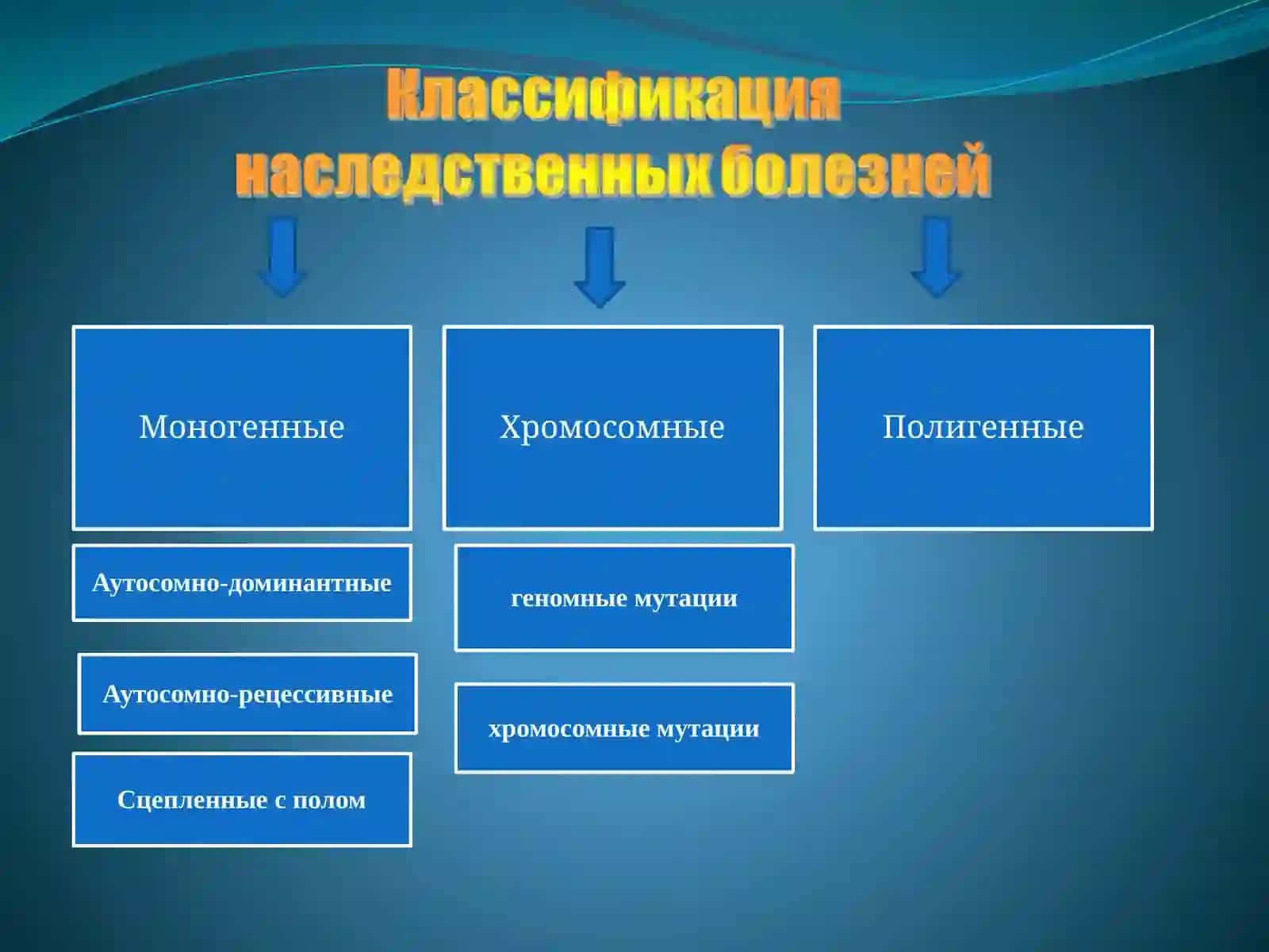 Генетикаи генетические болезни 4