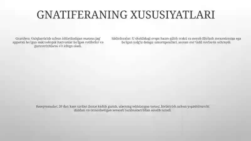 Gnatiferalar Katta Tipining Umumiy Tavsifi Va Xilma Xilligi Filogeniyasi.Siklioforalar.Kemptozoalar Tipining Umumiy Tavsifi Va Xilma Xilligi 4