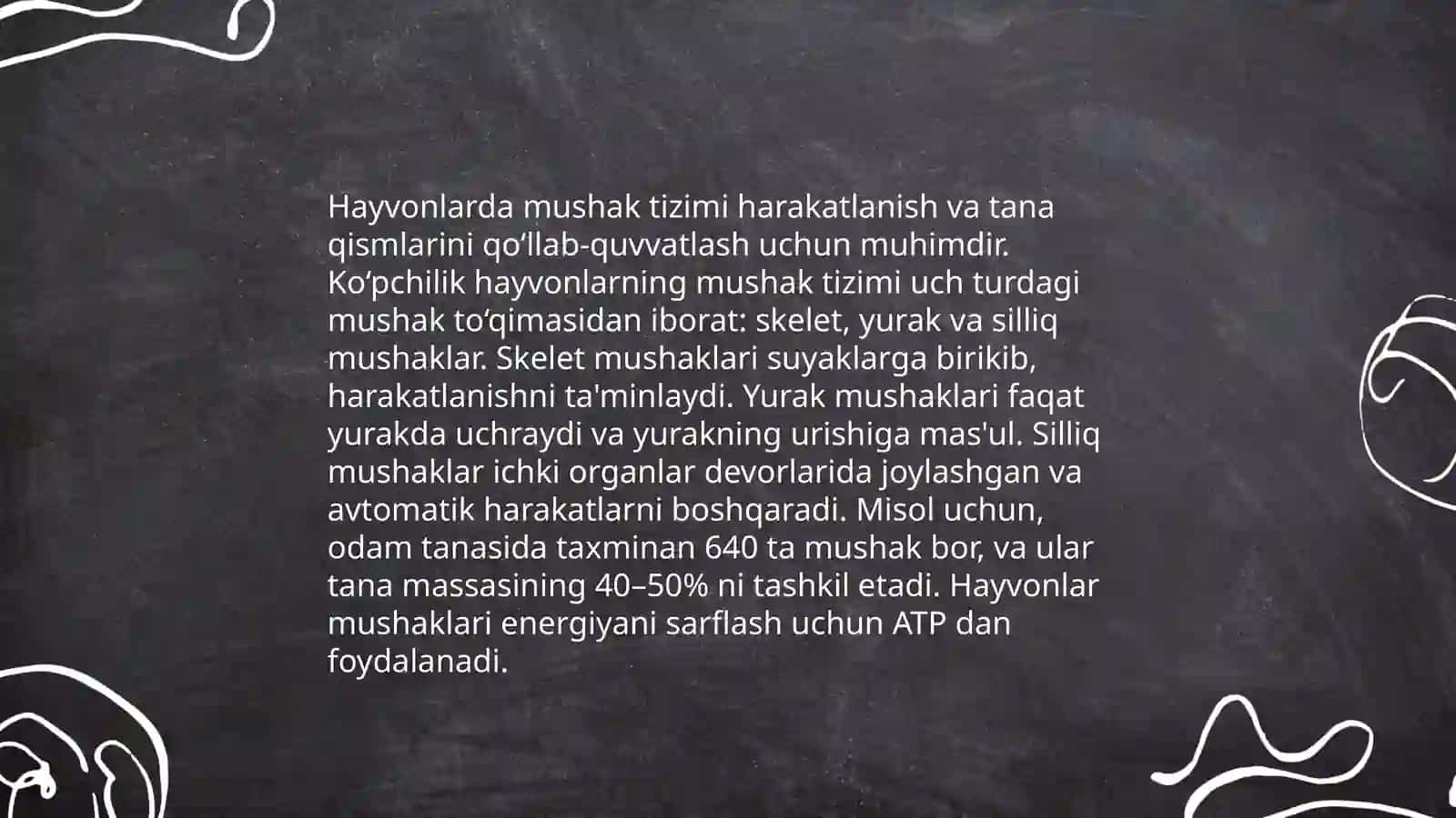 Hayvon muskullari 4