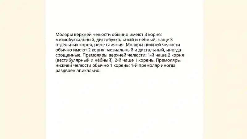 Строение жевательниых зубов при постаянном прикусе 4