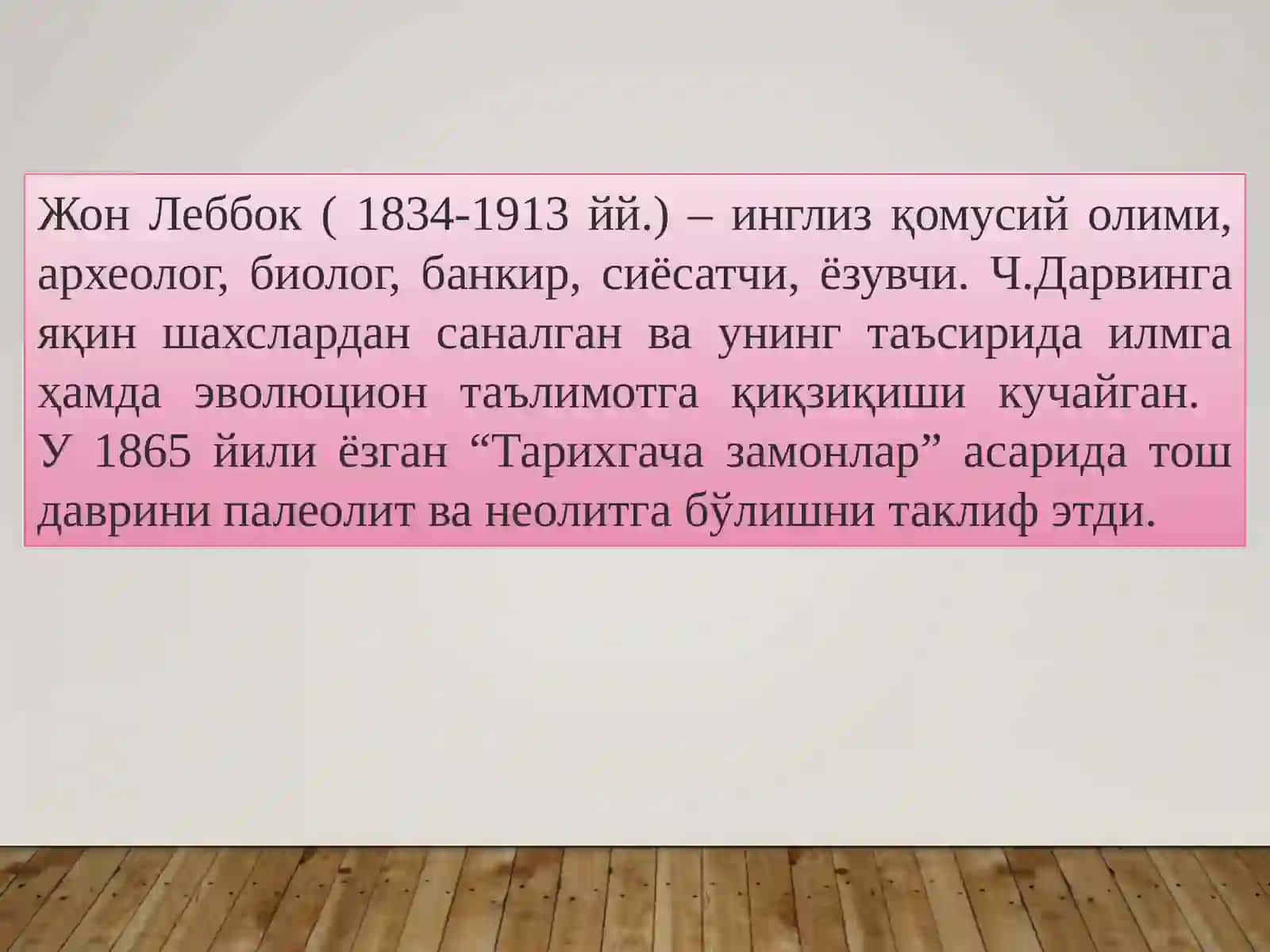 ПАЛЕОЛИТ 4