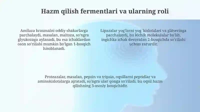 Ichak shilliq qavatining tuzilishi 4