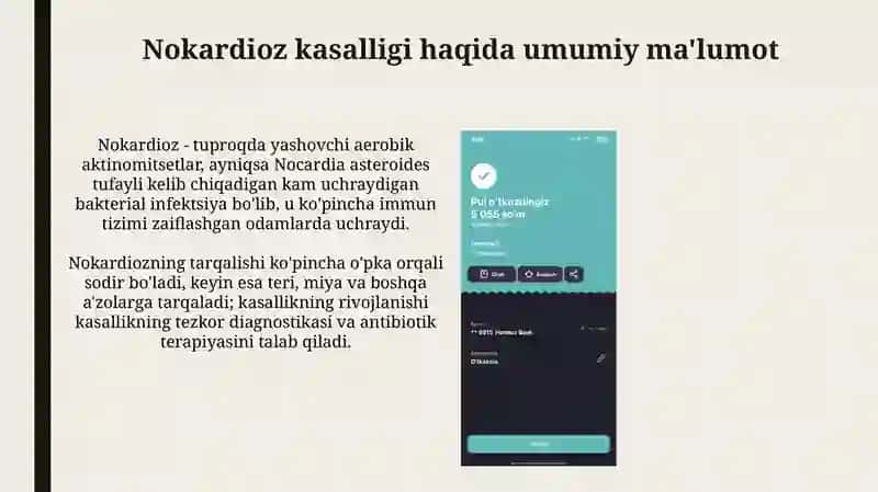 Nokarioz kasalliklarida tish shaklini tiklashning klinik prinsinsiplari 4