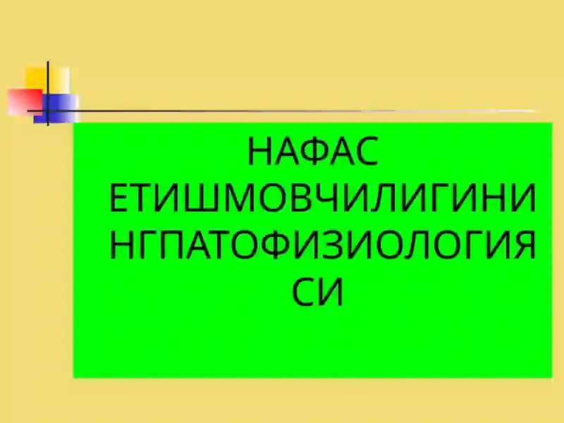 Ташки нафас патофизиологияси. Гипоксия 4