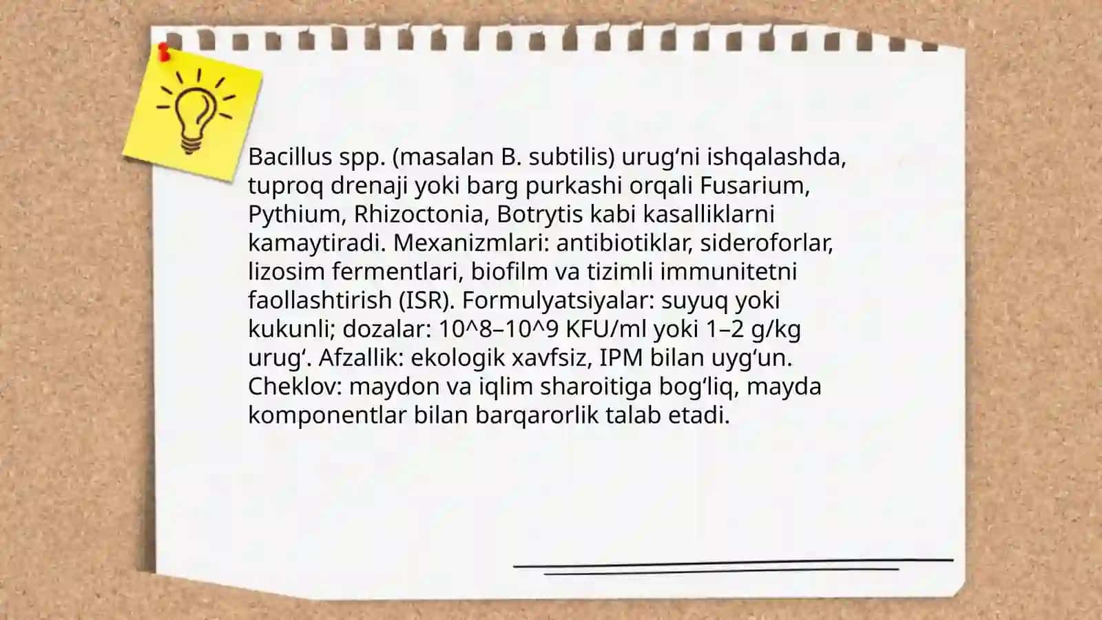 Trichoderma spp 4