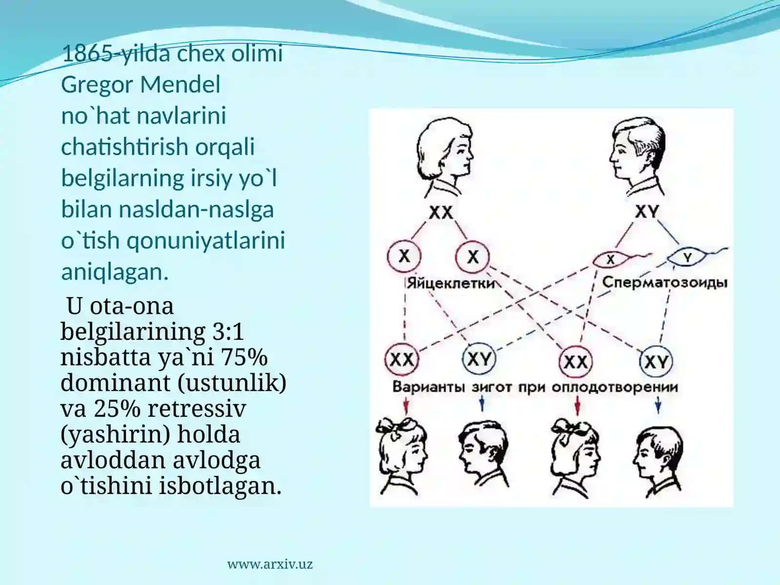Irsiyatning sitologik asoslari 4
