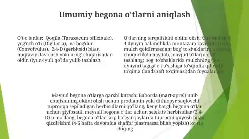 Giyohlar Biologiyasi va Tarqalishi 4