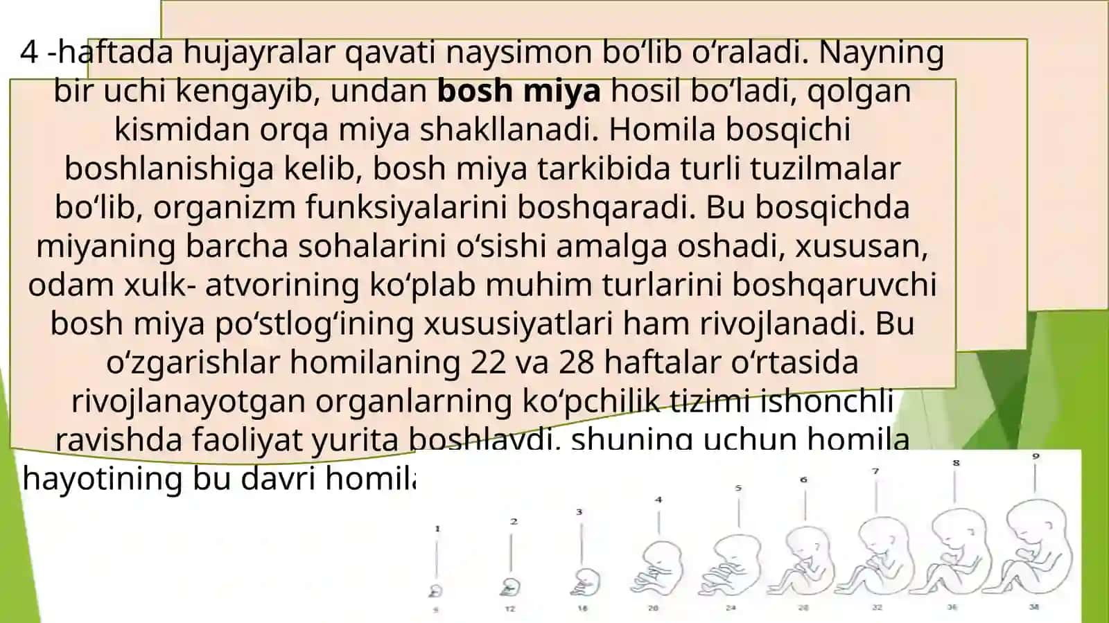 Ontogenezning ilk bosqichlarida, maktabgacha, kichik maktab yoshi davrida insonning psixik rivojlanishiga xos xususiyatlar 4
