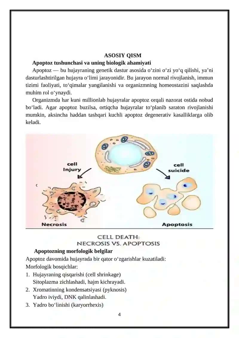 Apoptoz mexanizmlari 4