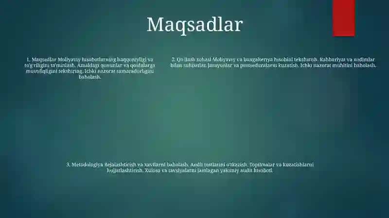 Auditga Umumiy Tavsif 4