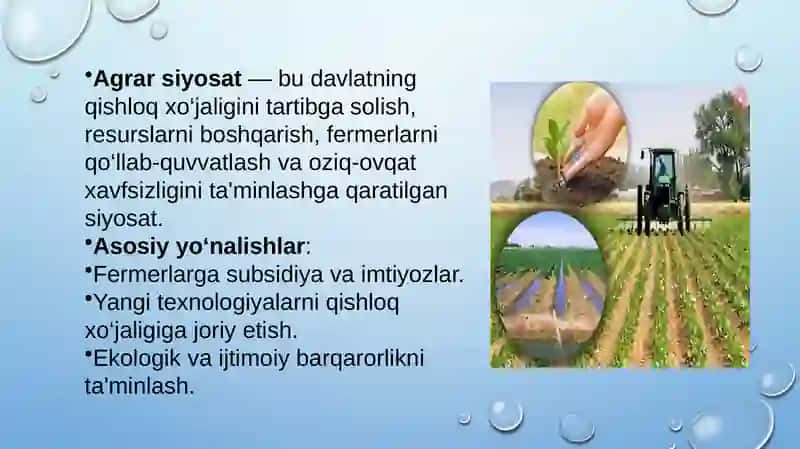 Agrarsiyosat, oziq-ovqat ta'minoti va xavfsizligi muammolari 4