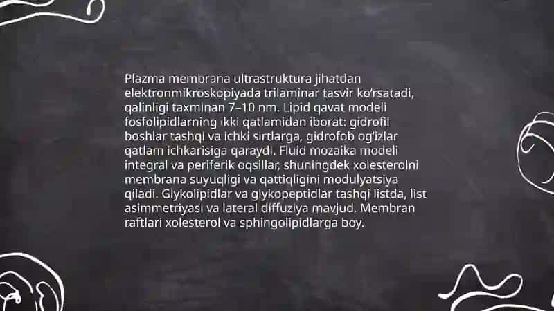 Hujayra va organellalarning morfologik jihatdan tuzilmaviy asosi 4