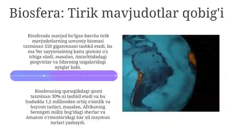 Yerning geografik qobiqlari Litosfera Gidrosfera Biosfera Atmosfera 4