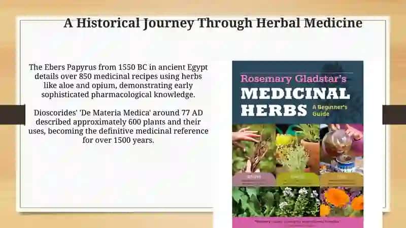 Remedy Herbs 4