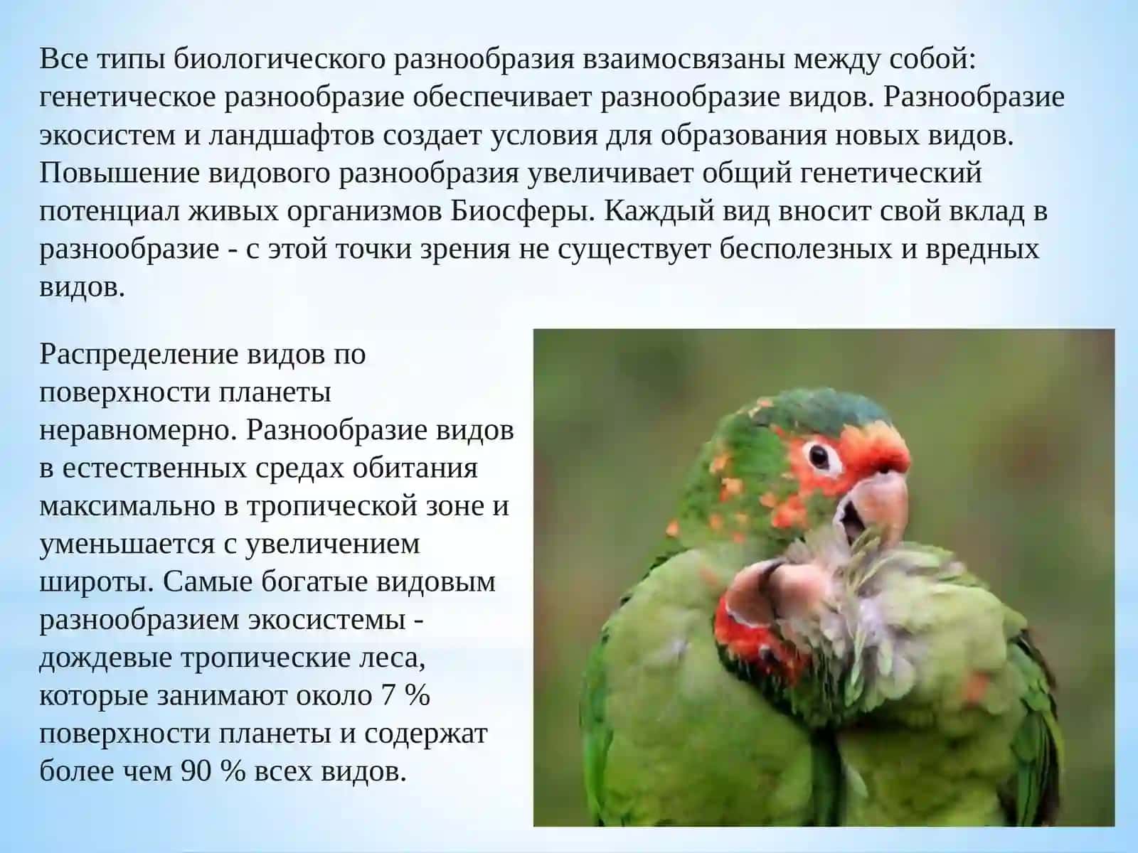 Биоразнообразие и егозащита 4