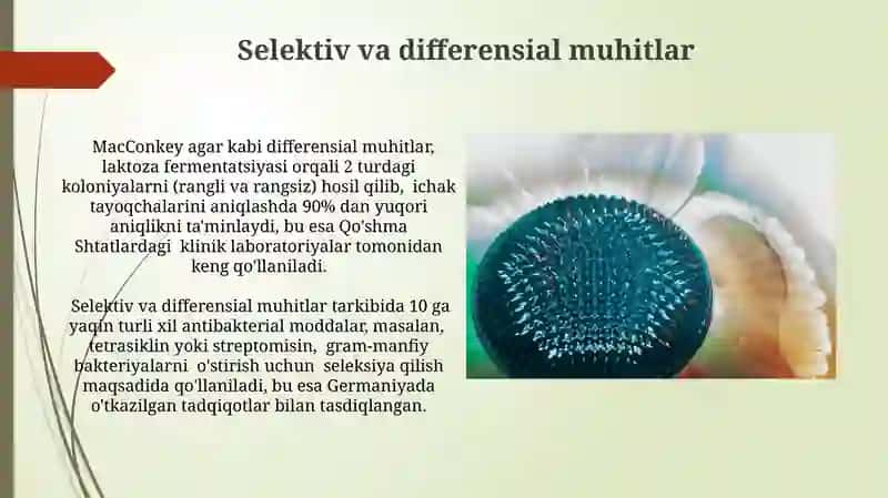 Mikroorganizm fizilogiyasi 4