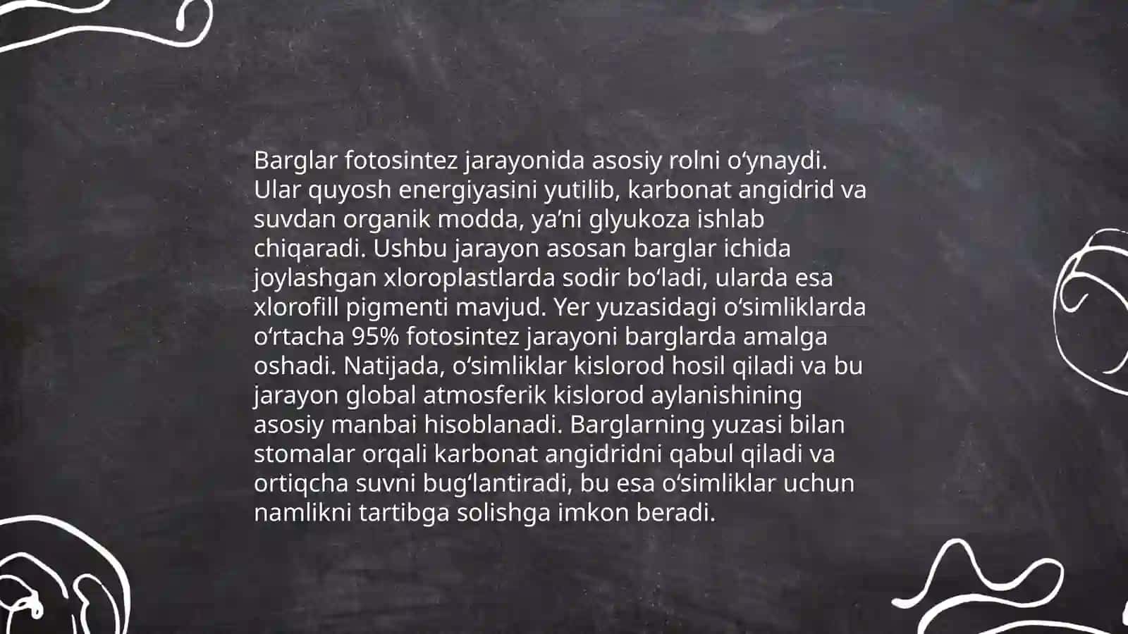 Ildiz poya barg metamorfozi 4
