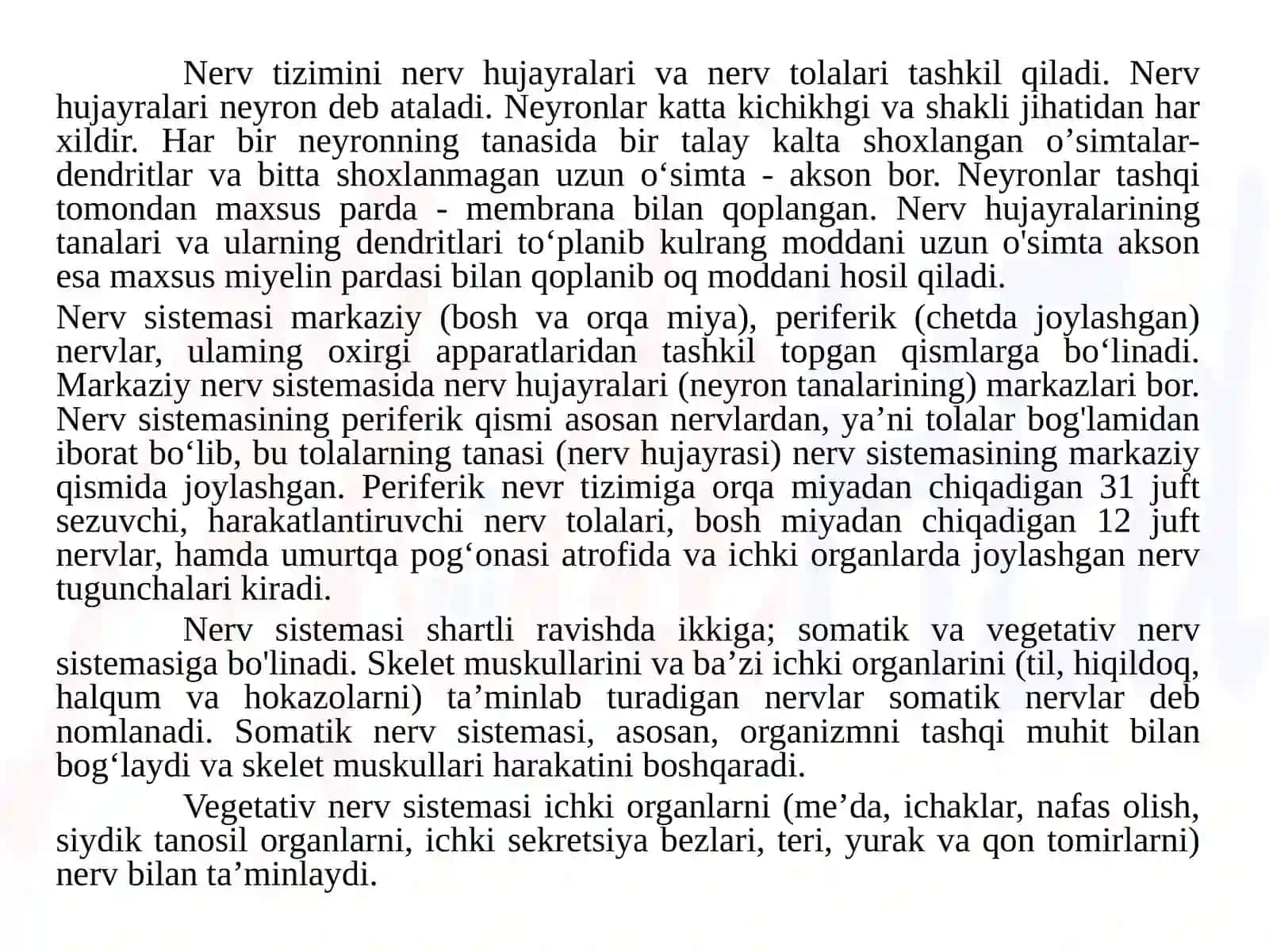 MA’RUZA.Nerv tizimining fiziologiyasi va oliy nerv faoliyatining yosh xususiyatlari 4
