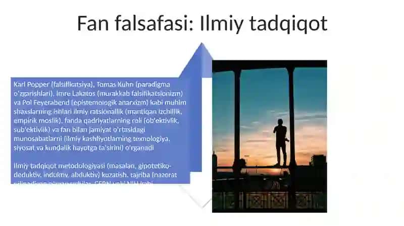 Fenomenologiya 4