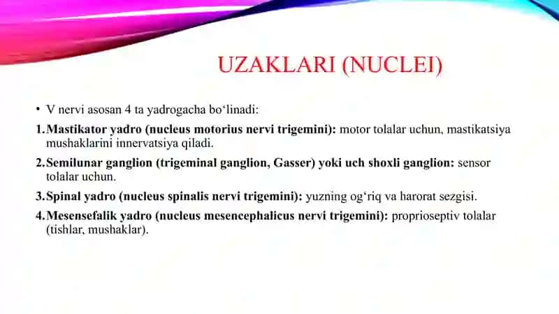 V juft bosh miya nervining funksional va klinik anatomiyasi: o‘zaklari, uch shohlinerv tuguni, proeksiyasi, chiqish joyi, innervatsiyasining umumiy tasnifi. Uch shoxli nervning I, II, III shohi (yuqori jag‘ nervi) funksional va klinik anatomiyasi: tarmoqlari, topografiyasi, innervatsiya sohasi. Qanot-tanglay tuguni: topografiyasi, asosiy tarmoqlari. Yuqori jag‘ va tanglay anesteziyasining anatomo-topografik asosi. 4
