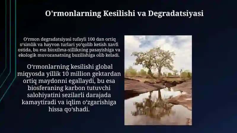 Urbanizatsiya va Ekologik Muammolar 4