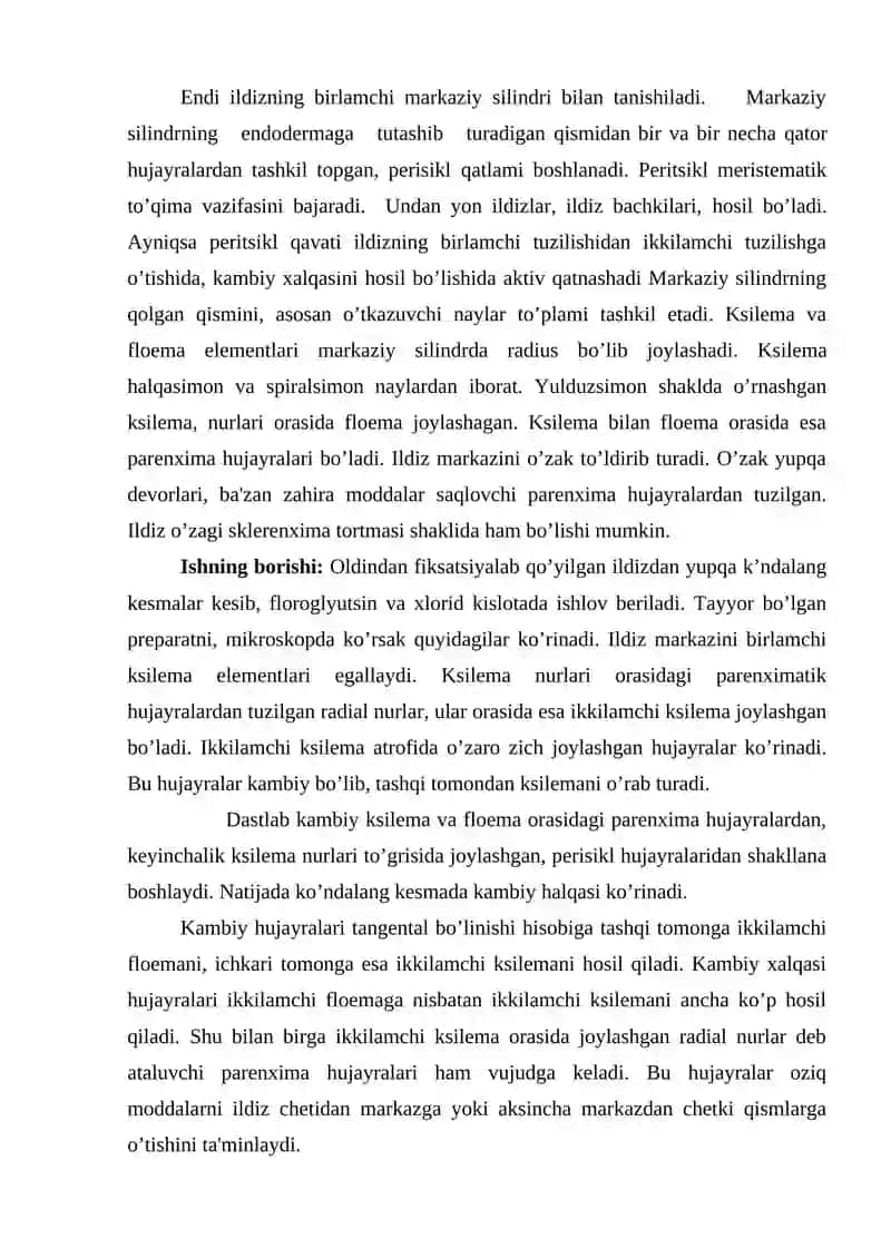 Ildiz anatomiyasi 4