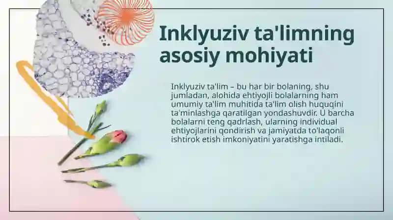 Alohida yordamga muhtoj bolalarning inklyuziv ta'limi yangi ta'limiy amaliyot sifatida 4