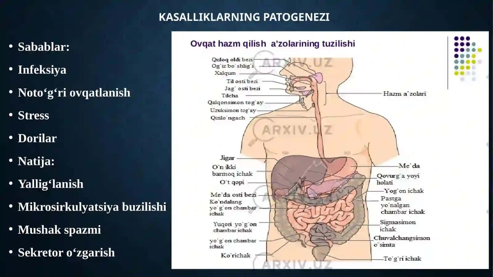 OVQAT HAZM QILISH A’ZOLARI KASALLIKLARIDA ZAMONAVIY FIZIOTERAPIYA USULLARINI QO’LLASH 4