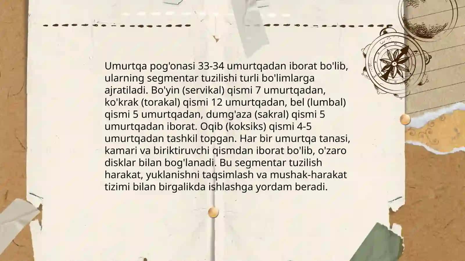 Skeletning sigmentar tuzilishi.Umurtqalarning yoshga va jinsga qarab oʻzgarishi 4
