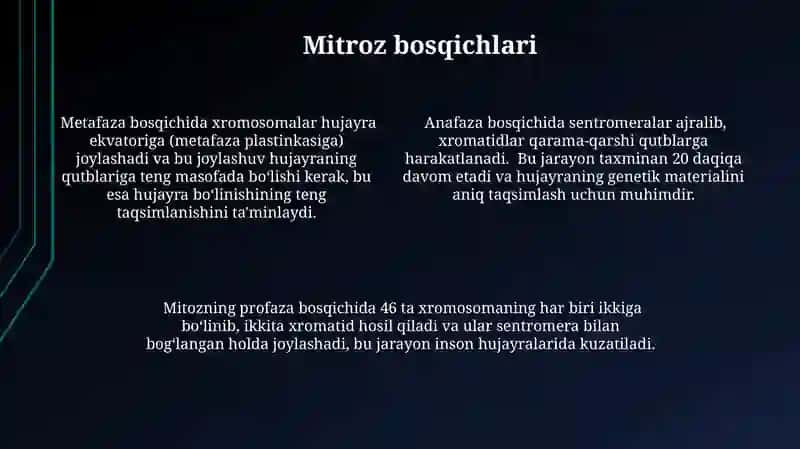 Mitoz 4
